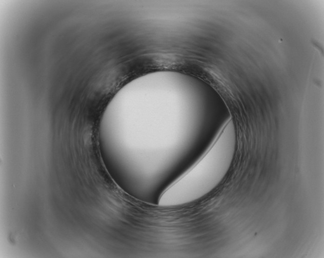 X0000091530221200708170956