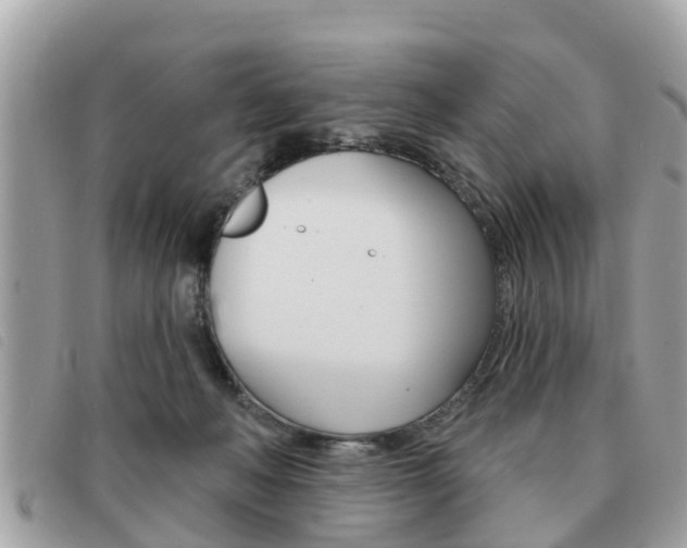 X0000091530222200708170956