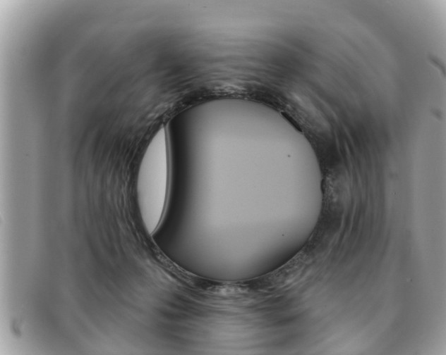 X0000091530223200708170956