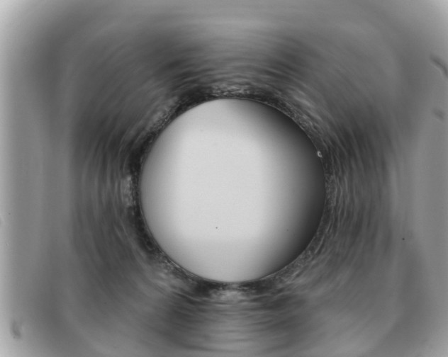X0000091530224200708170956