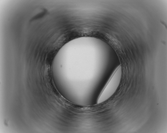 X0000091530225200708170956