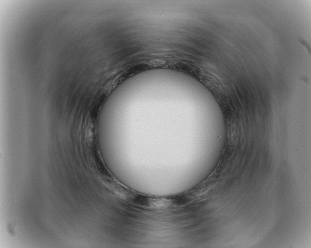 X0000091530226200708170956