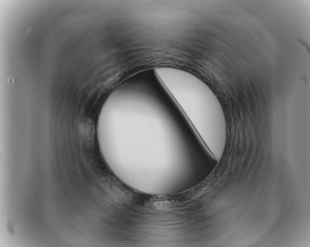 X0000091530228200708170956