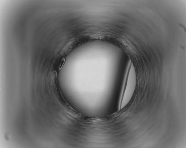 X0000091530229200708170956