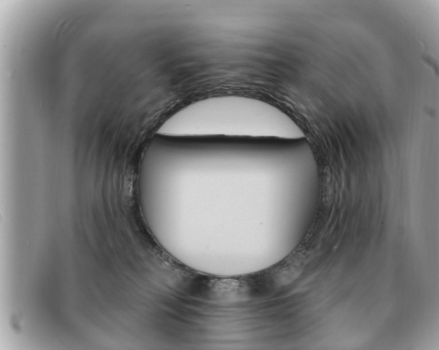 X0000091530230200708170956
