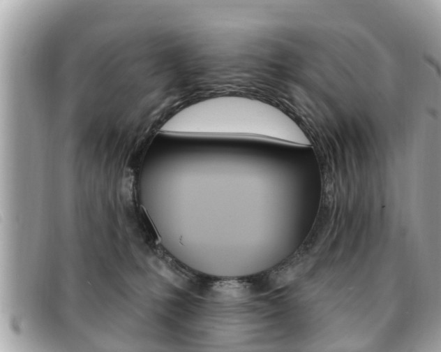 X0000091530231200708170956
