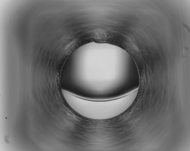 X0000091530233200708170956