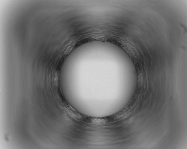 X0000091530234200708170956