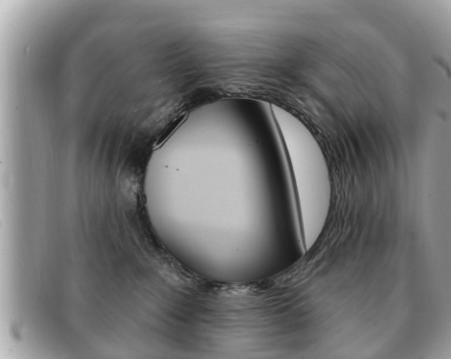 X0000091530235200708170956