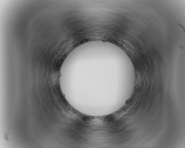 X0000091530236200708170956
