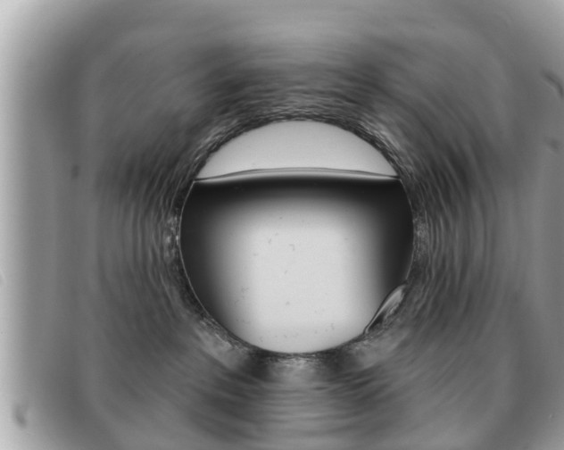 X0000091530237200708170956