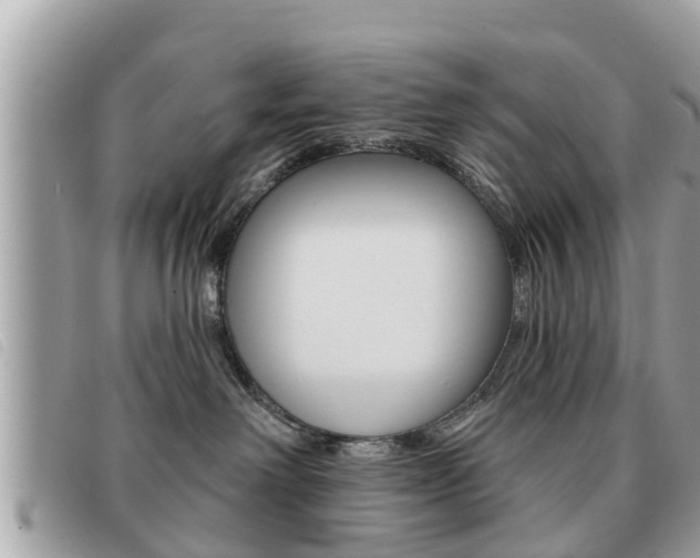 X0000091530238200708170956