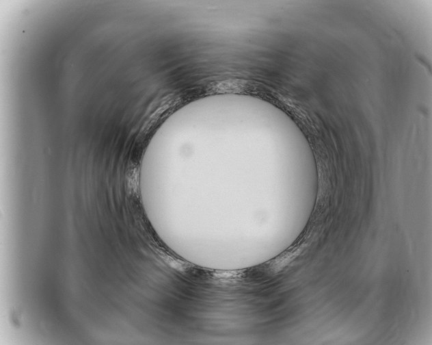 X0000091530240200708170955