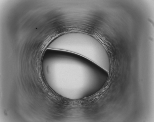 X0000091530241200708170955