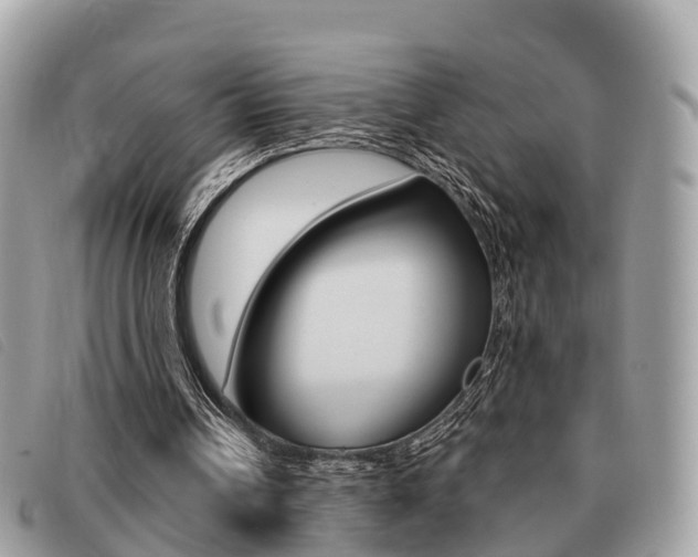 X0000091530242200708170955