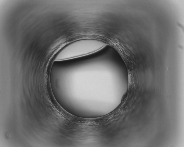 X0000091530243200708170955