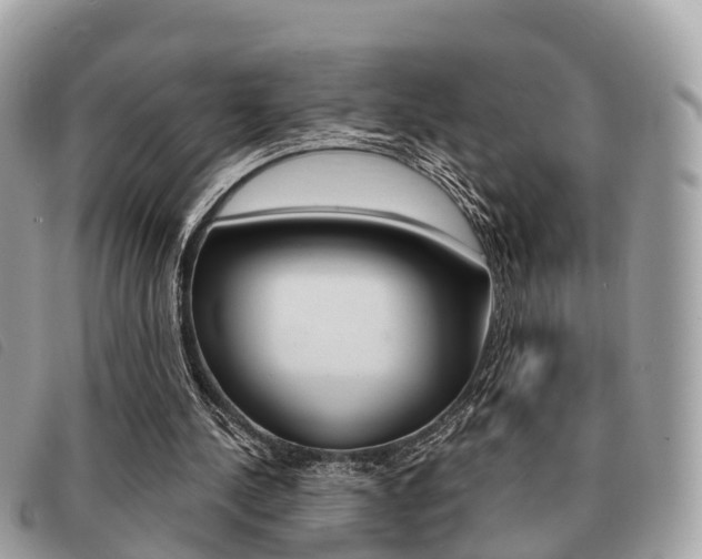 X0000091530244200708170955