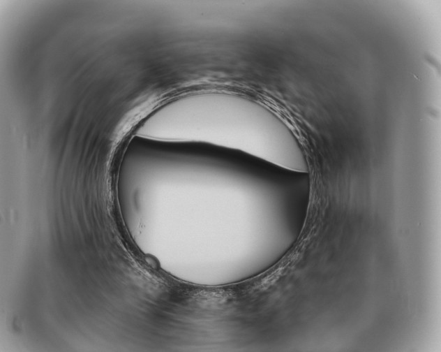 X0000091530245200708170955