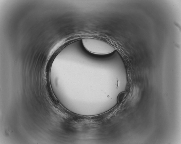 X0000091530246200708170955