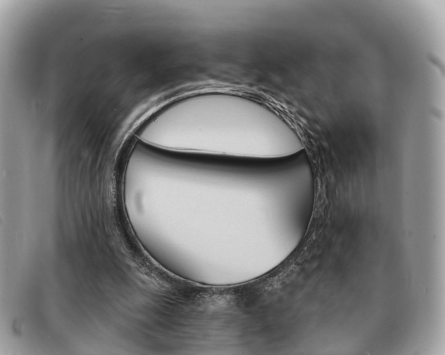 X0000091530247200708170955