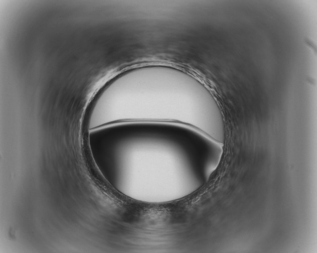 X0000091530248200708170955
