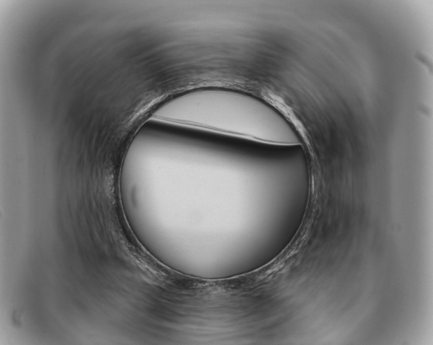 X0000091530249200708170955