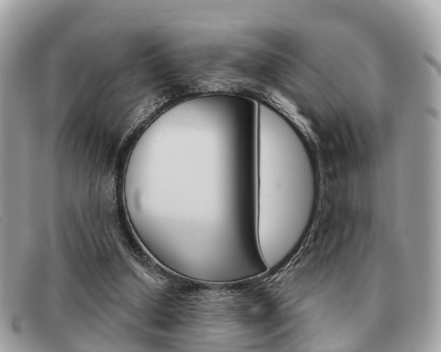 X0000091530250200708170955