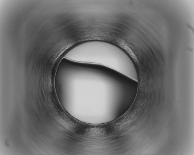 X0000091530251200708170955