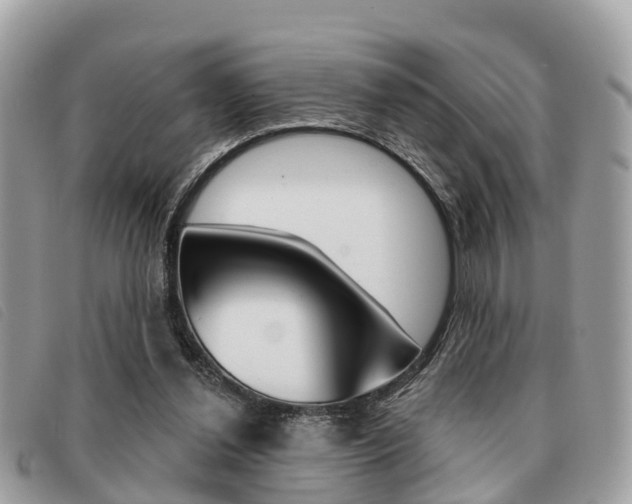 X0000091530252200708170955
