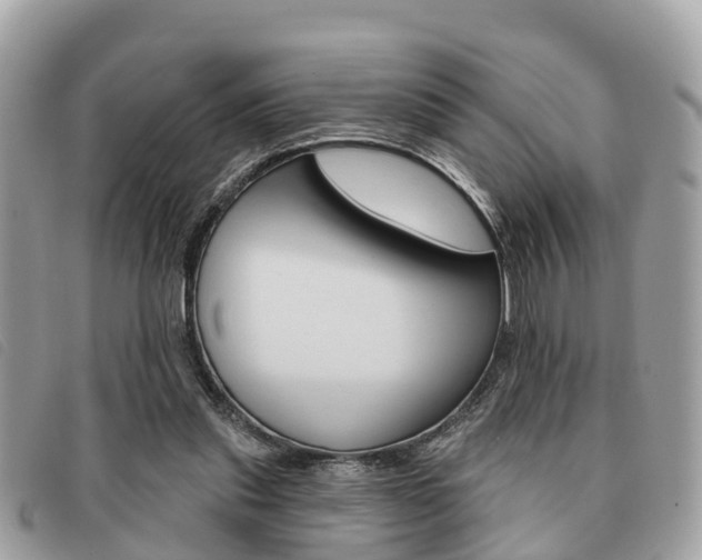 X0000091530253200708170955