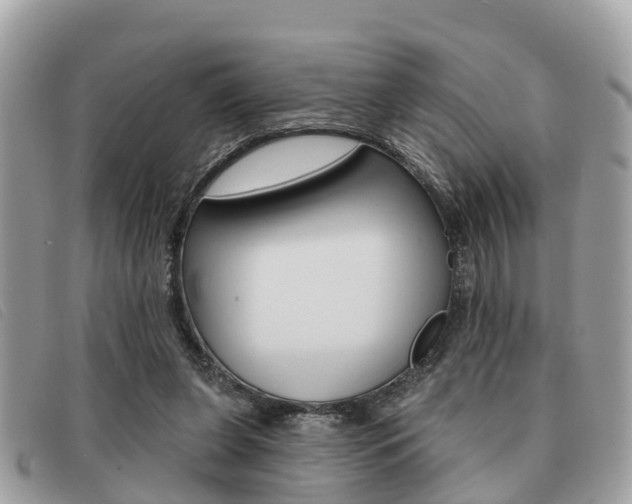 X0000091530255200708170955