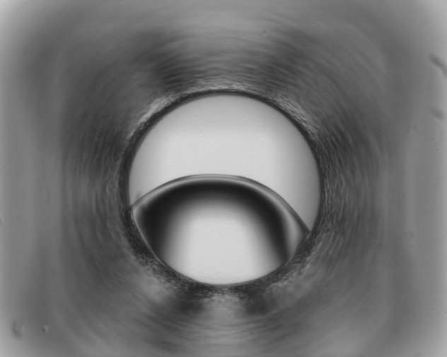 X0000091530256200708170955