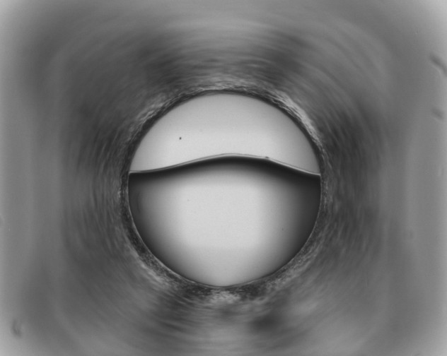 X0000091530257200708170955