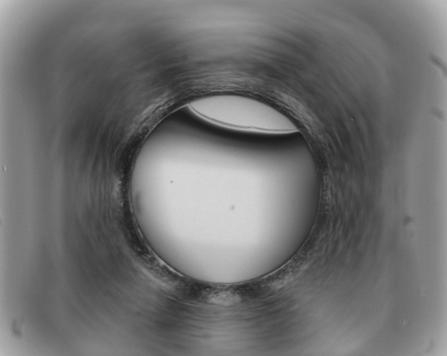 X0000091530258200708170955