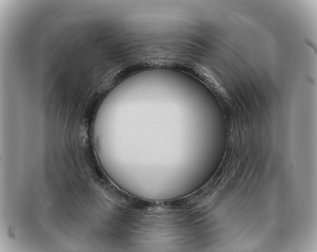 X0000091530259200708170955
