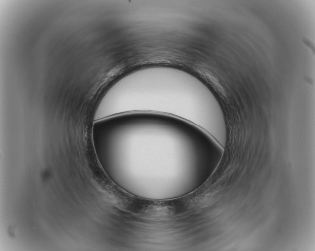 X0000091530260200708170955
