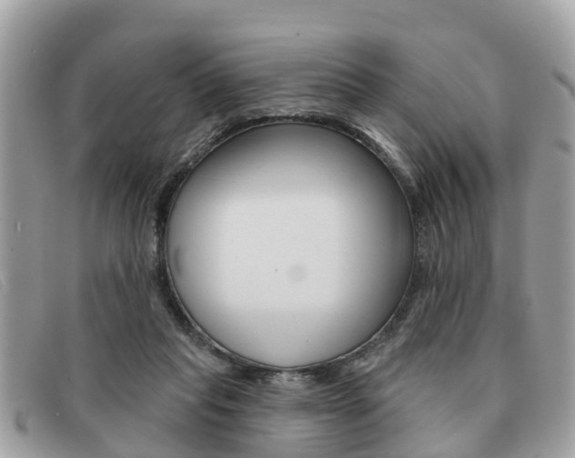 X0000091530261200708170955