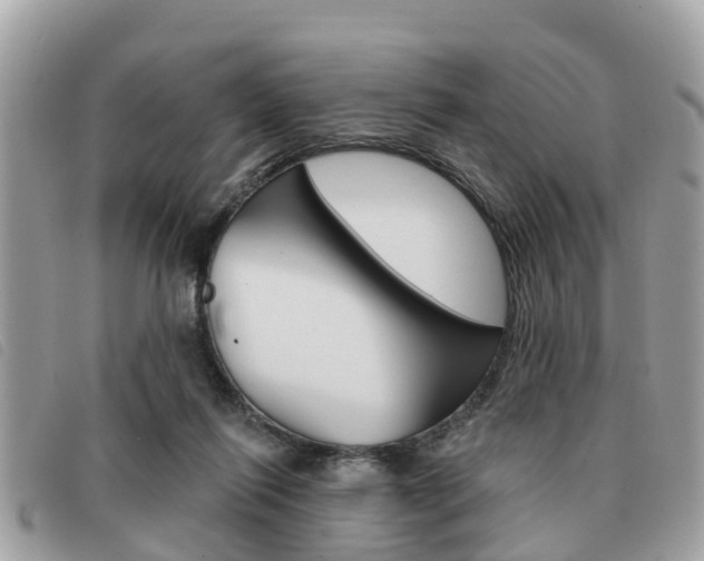 X0000091530262200708170955
