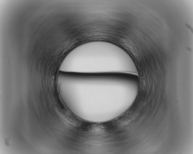 X0000091530263200708170955
