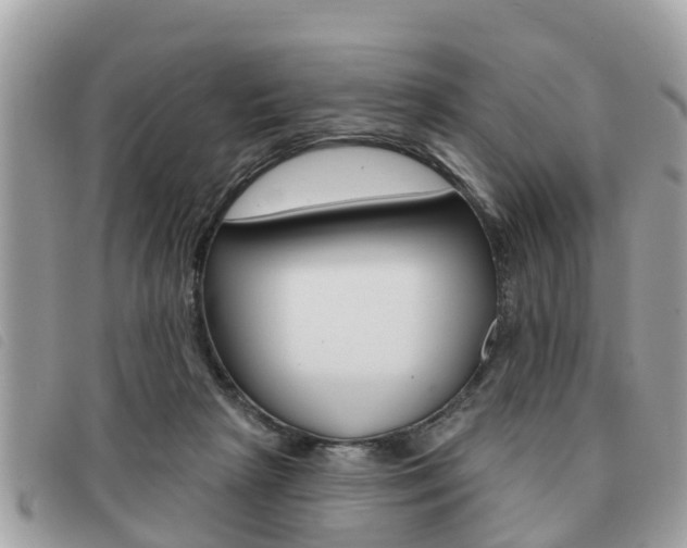 X0000091530265200708170955