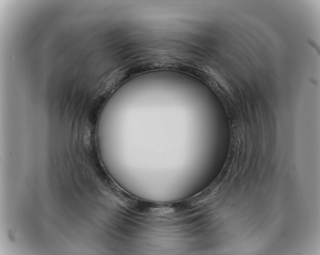 X0000091530266200708170955