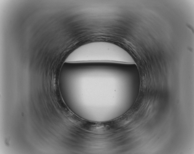 X0000091530267200708170955