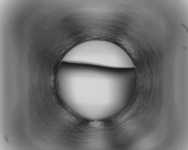 X0000091530269200708170955