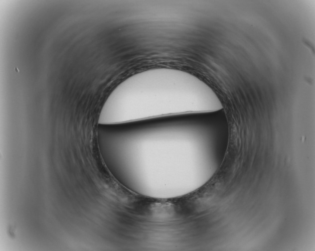X0000091530271200708170955