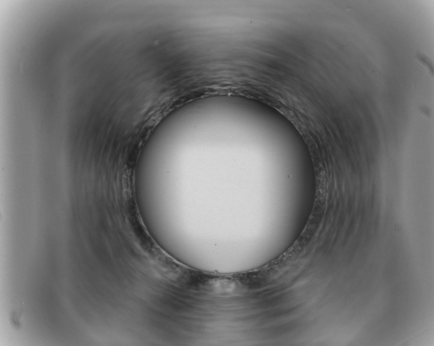 X0000091530272200708170955