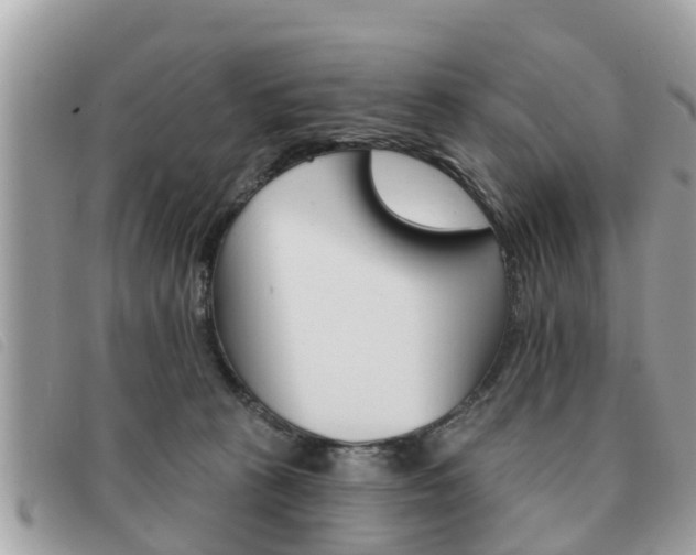 X0000091530273200708170955
