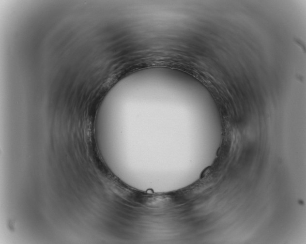 X0000091530274200708170955
