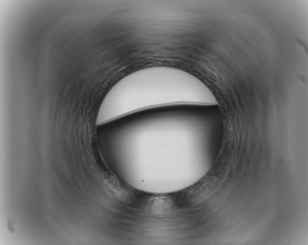 X0000091530275200708170955