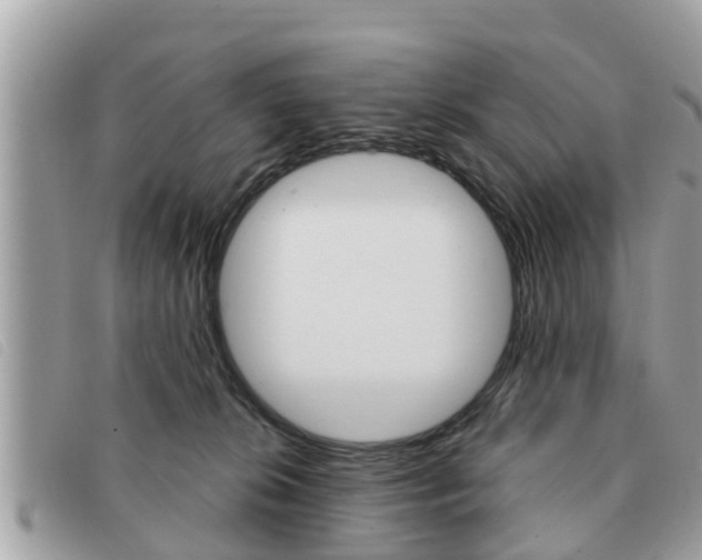 X0000091530276200708170955