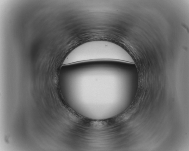 X0000091530277200708170955